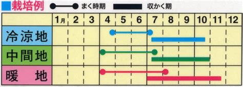 時種|野菜のタネまき時期早見表 